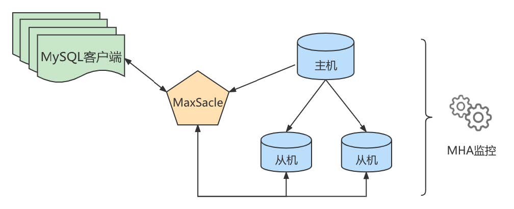 image-20241202215856411